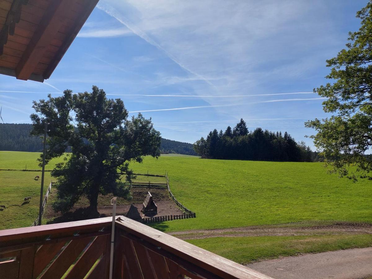 Apartamento Urlaub An Der Grenze Lauterbach  Exterior foto