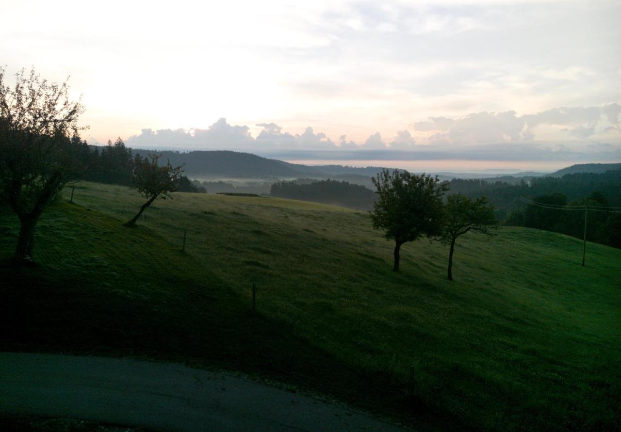 Apartamento Urlaub An Der Grenze Lauterbach  Exterior foto