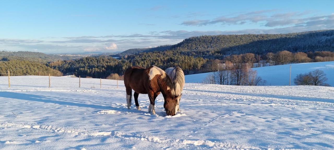 Apartamento Urlaub An Der Grenze Lauterbach  Exterior foto